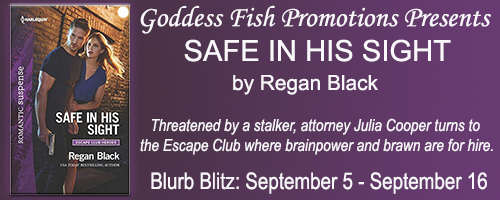 BBT_TourBanner_SafeInHisSight