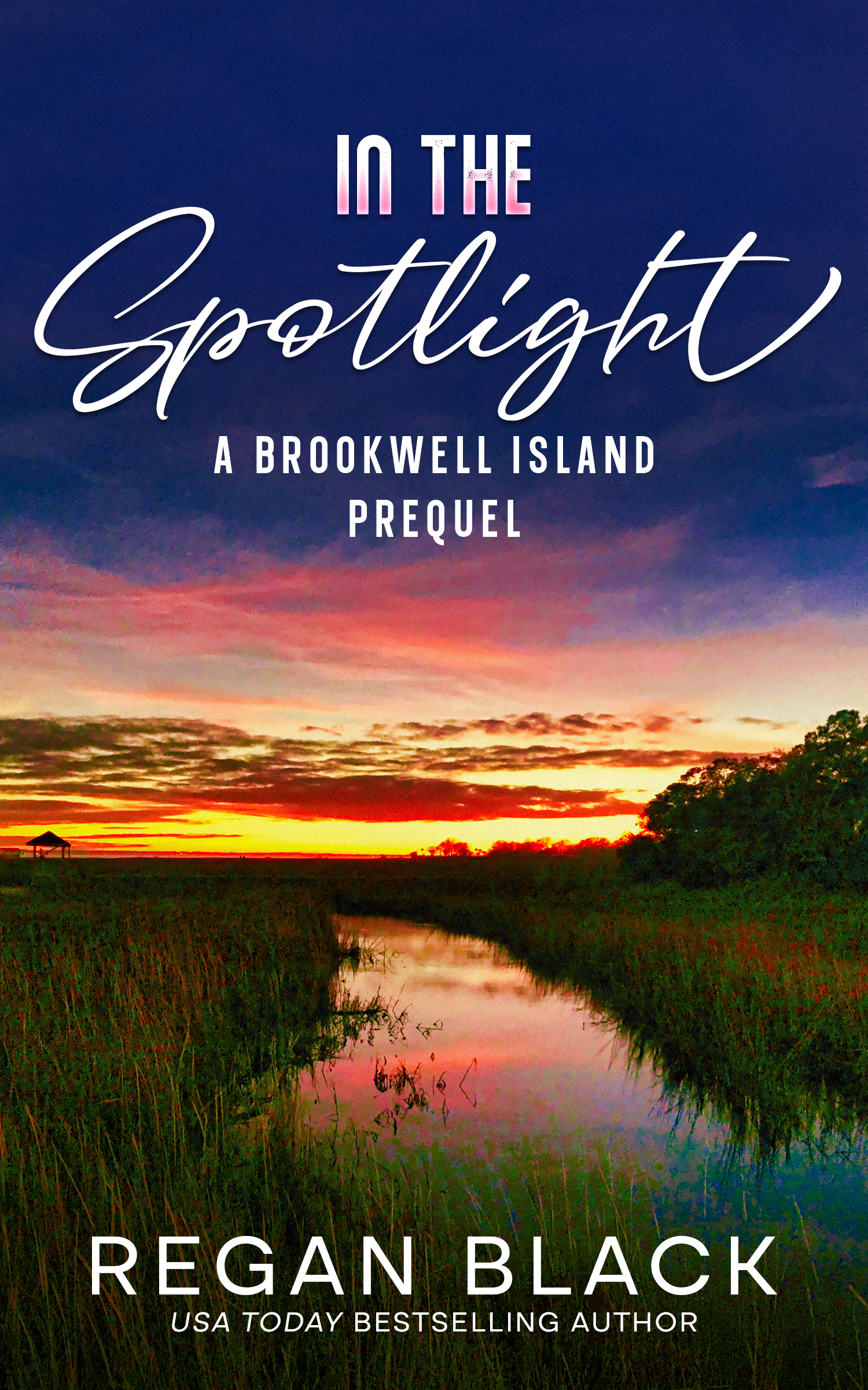 A book cover for "In the Spotlight" by Regan Black, featuring a waterfront view of a grassy marsh at sunset